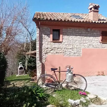 L'alpaca Della Rossa - *