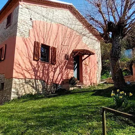 L'alpaca Della Rossa - Genga (Ancona)