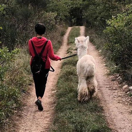 Lägenhet L'alpaca Della Rossa - *