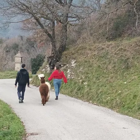 L'alpaca Della Rossa - * Genga (Ancona)