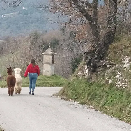 L'alpaca Della Rossa - Apartament *