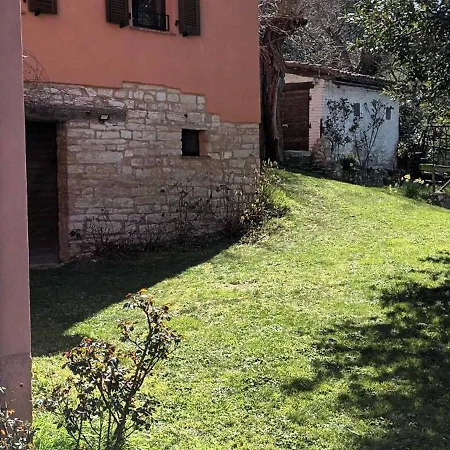 L'alpaca Della Rossa -