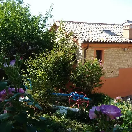 L'alpaca Della Rossa - *