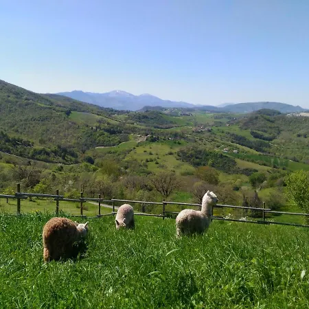 L'alpaca Della Rossa - Lägenhet