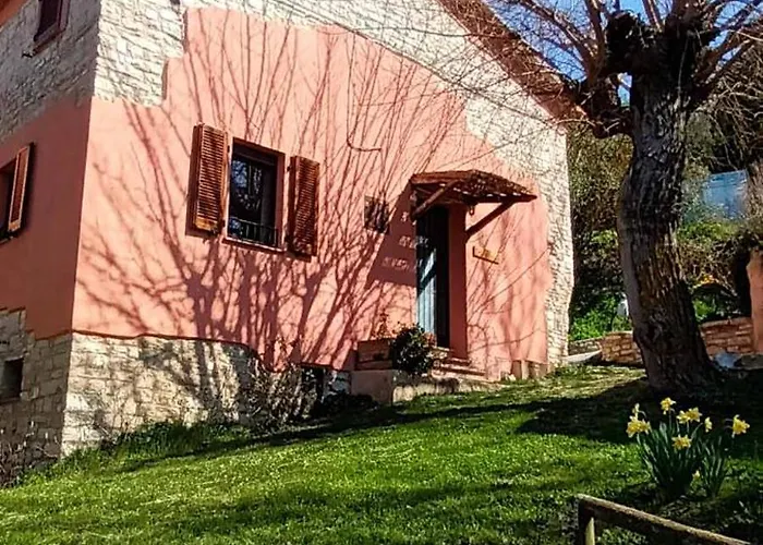 L'alpaca Della Rossa - Genga (Ancona)