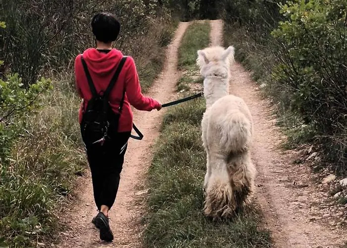 Lägenhet L'alpaca Della Rossa - *