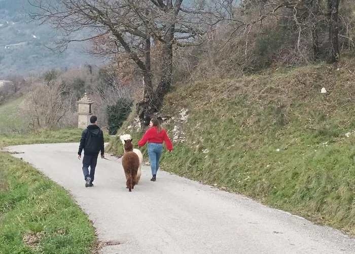 L'alpaca Della Rossa - * Genga (Ancona)