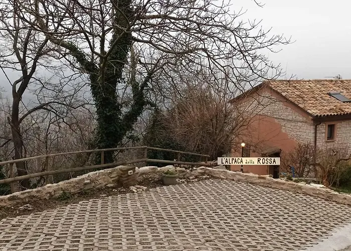L'alpaca Della Rossa -