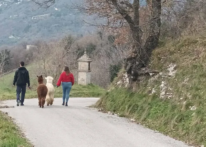 L'alpaca Della Rossa - Lägenhet *