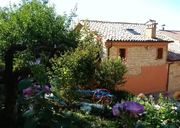L'alpaca Della Rossa - *